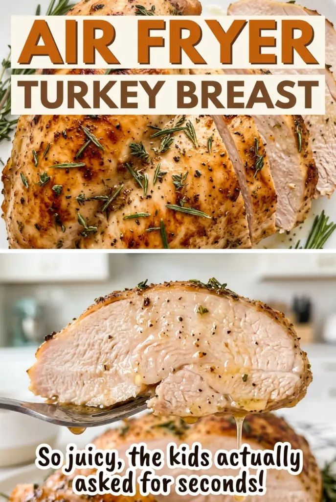 Air Fryer Turkey Breast